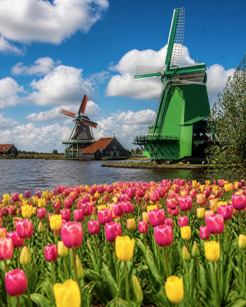 Windmills beside the water at Zaanse Schans, Netherlands